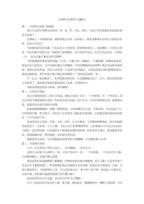 可爱的小松鼠作文300字优秀作文
