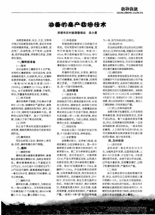 油葵的高产栽培技术