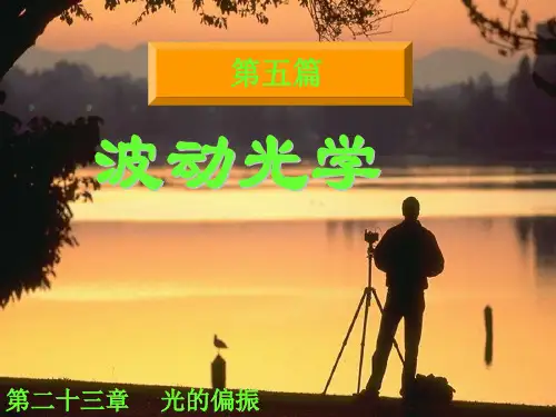 高中物理竞赛—第五篇 波动光学：光的偏振(共23张PPT)