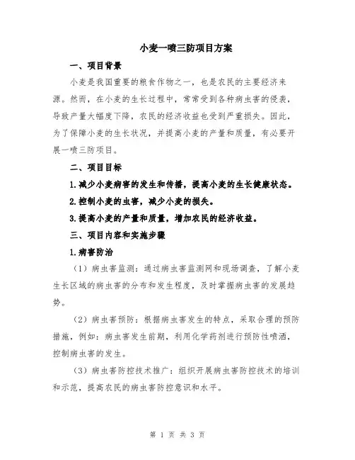小麦一喷三防项目方案