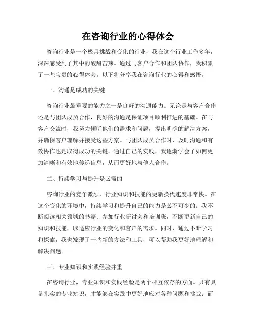 在咨询行业的心得体会