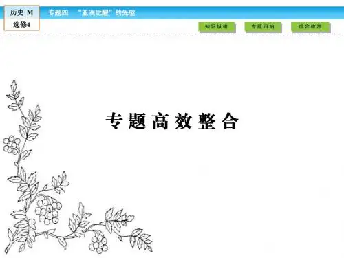 2016-2017学年(人民版)高中历史选修4课件：专题高效整合4