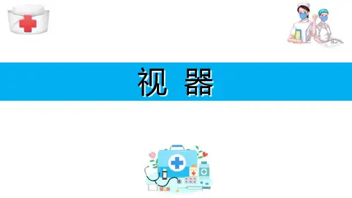 感官系统—视器(人体解剖学课件)