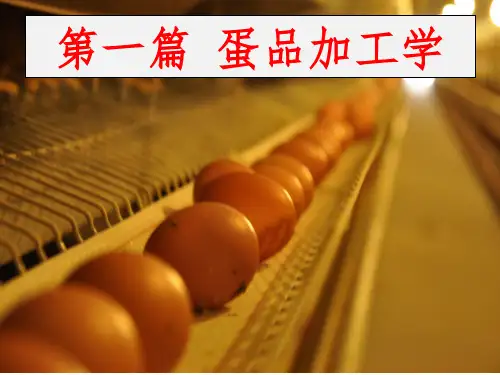 蛋的构造加工及特性分享资料