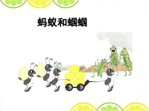 最新苏教版《蚂蚁和蝈蝈》精品课件