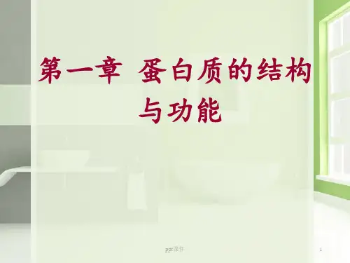 生物化学--蛋白质的组成与结构  ppt课件