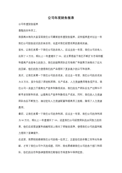 公司年度财务报表