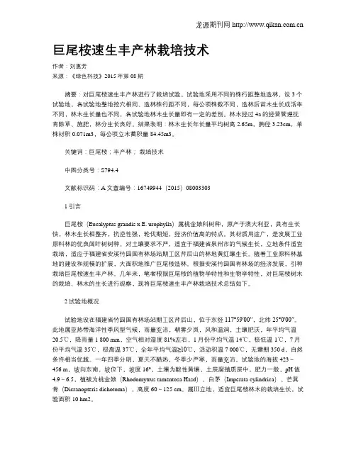 巨尾桉速生丰产林栽培技术