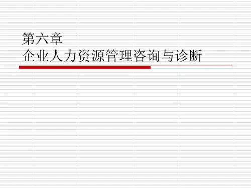 人力资源管理咨询ppt课件