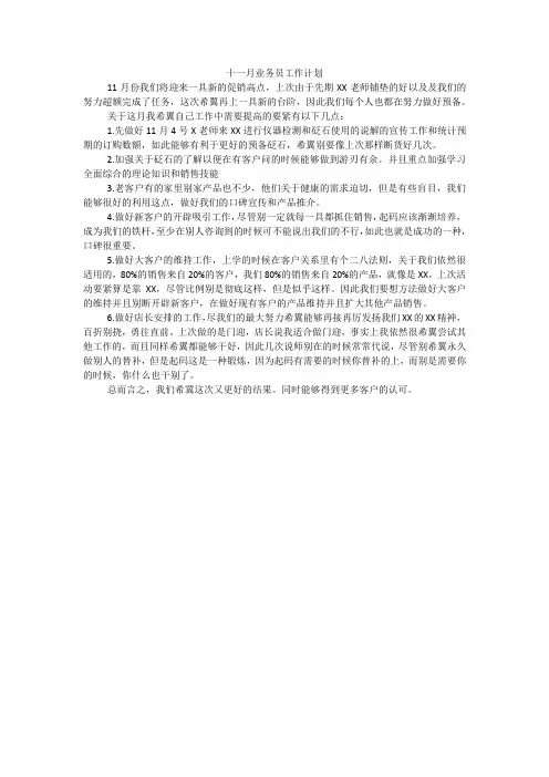 十一月业务员工作计划