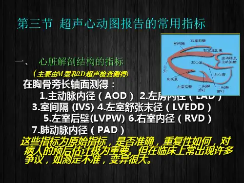 心脏超声  ppt课件