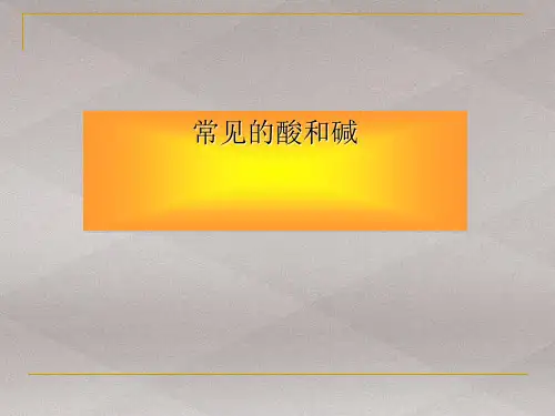 沪教版初中化学九下 7.2.2  常见的酸和碱  课件 _2