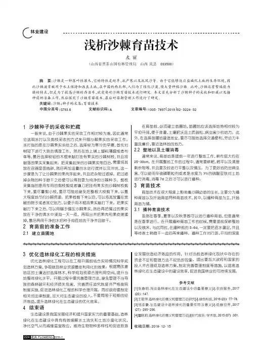 浅析沙棘育苗技术