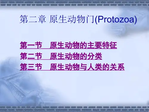 第二章 原生动物门