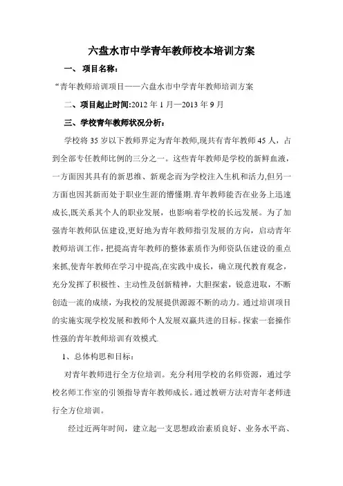 青年教师校本培训项目方案