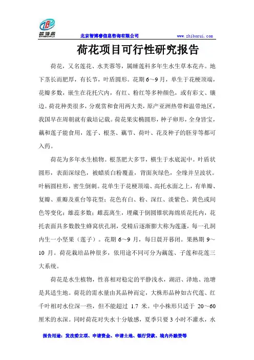 荷花项目可行性研究报告