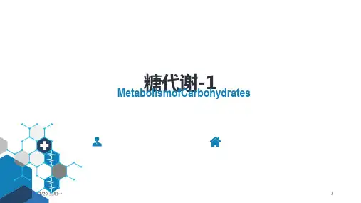 生物化学及分子生物学(人卫第九版)-05-01节糖代谢