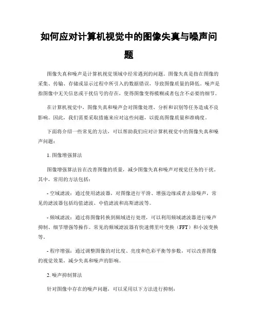 如何应对计算机视觉中的图像失真与噪声问题