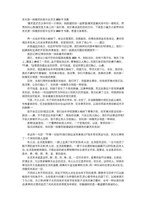 初中作文-有关那一抹微笑的初中生作文800字5篇
