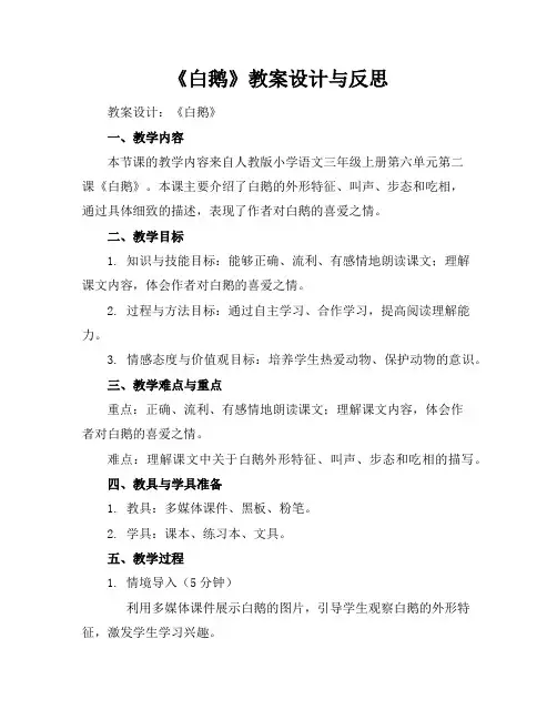 《白鹅》教案设计与反思