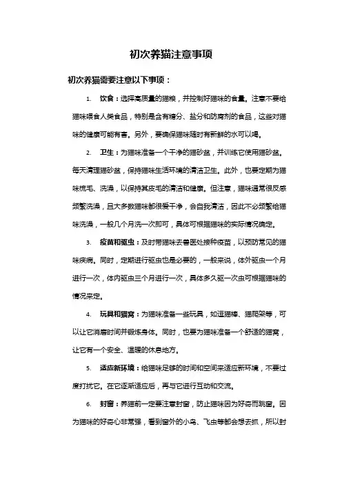 初次养猫注意事项