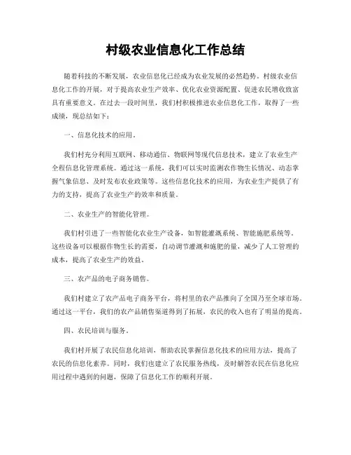 村级农业信息化工作总结