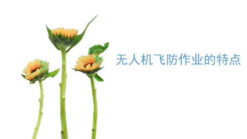 无人机飞防作业的特点
