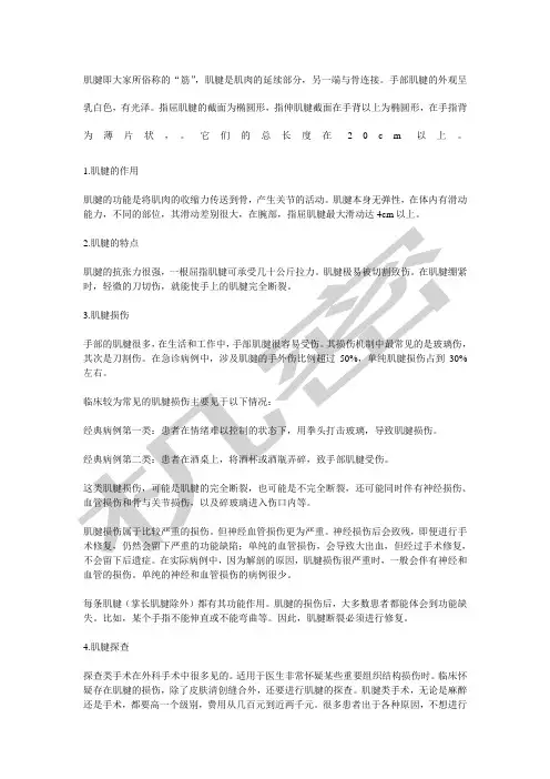 肌腱损伤修复与锻炼