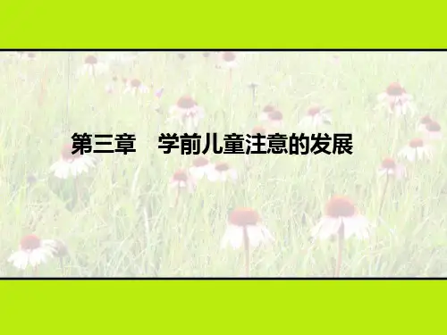 学前儿童注意的发展(精)