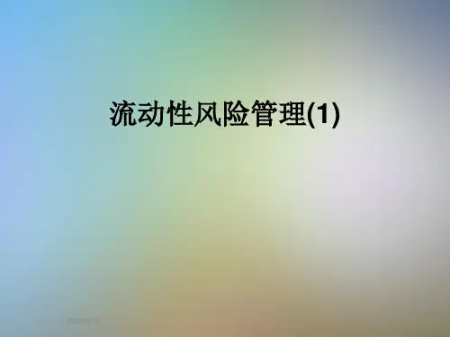 流动性风险管理(1)