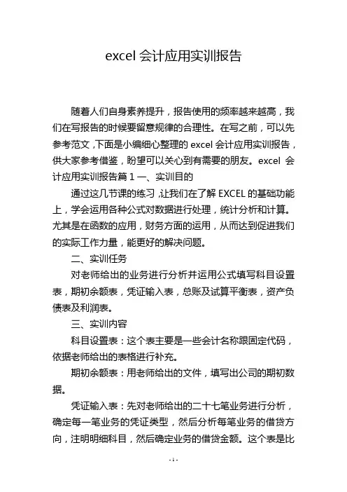 excel会计应用实训报告