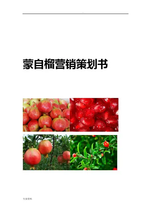 蒙自石榴营销策划方案