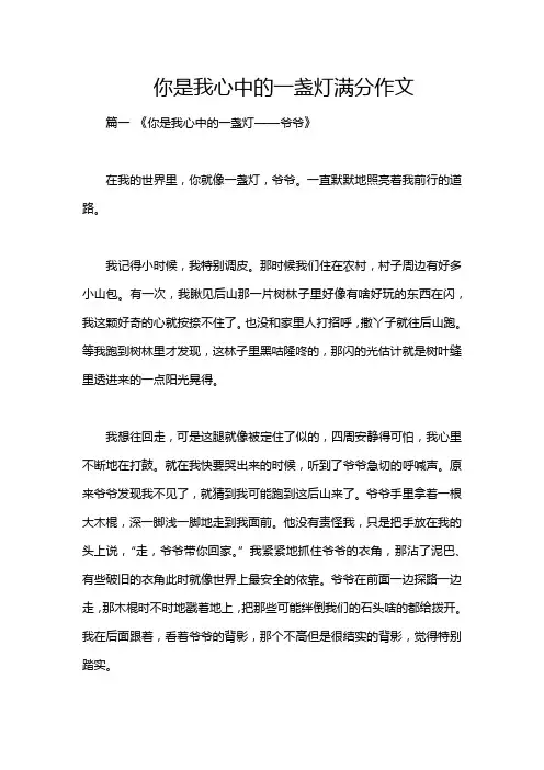 你是我心中的一盏灯满分作文