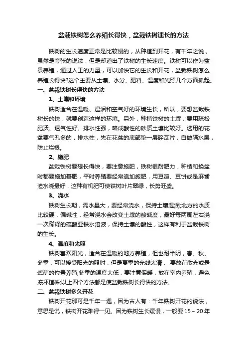 盆栽铁树怎么养殖长得快，盆栽铁树速长的方法