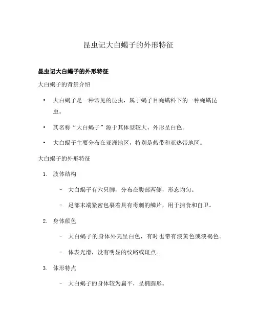 昆虫记大白蝎子的外形特征