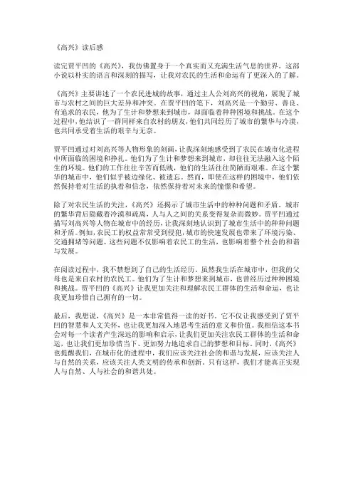 贾平凹《高兴》读后感