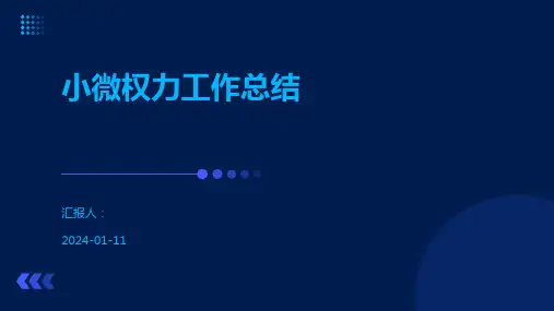 小微权力工作总结