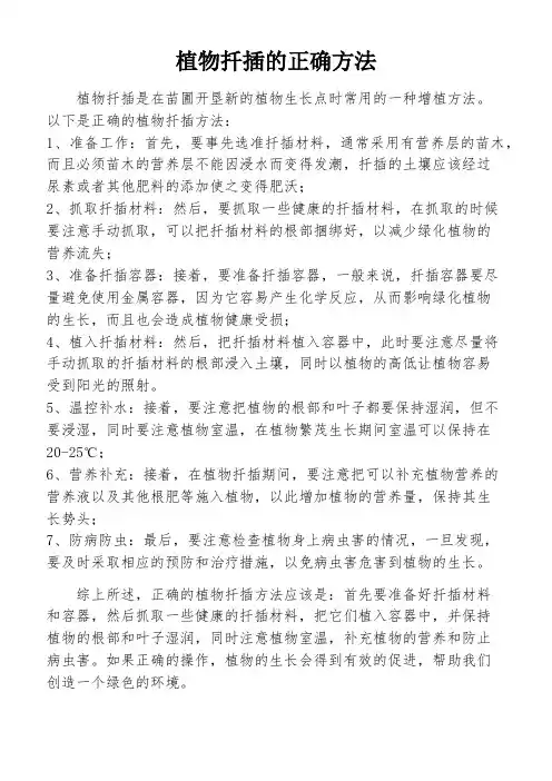 植物扦插的正确方法