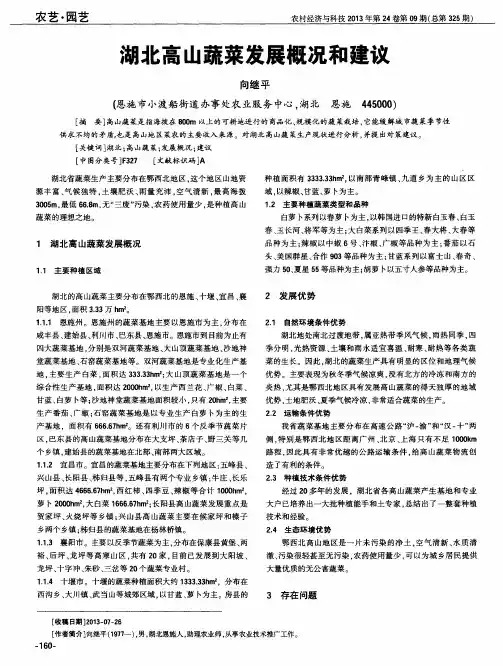 湖北高山蔬菜发展概况和建议