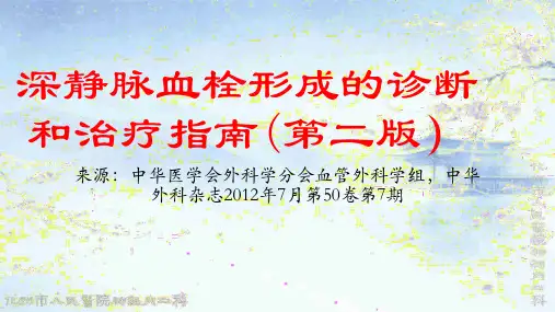深静脉栓塞