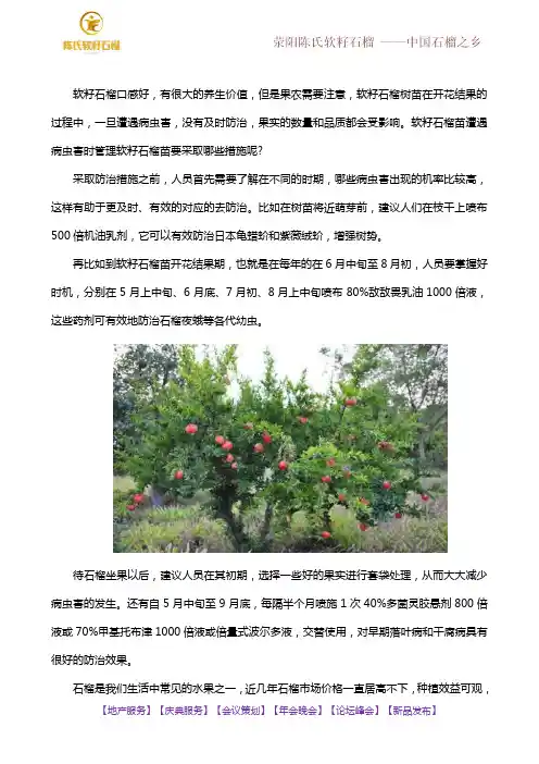 软籽石榴树苗病虫害怎么防治