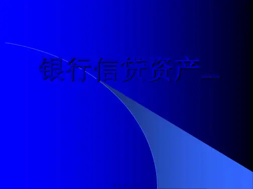 信贷资产审计(ppt版)