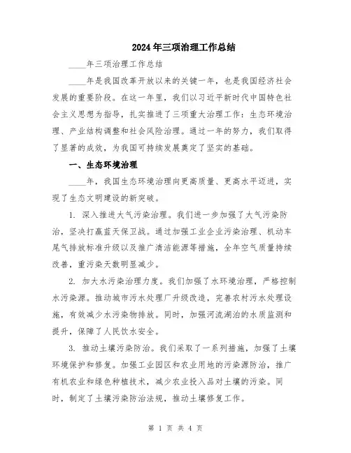 2024年三项治理工作总结