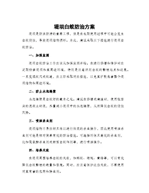 堤坝白蚁防治方案