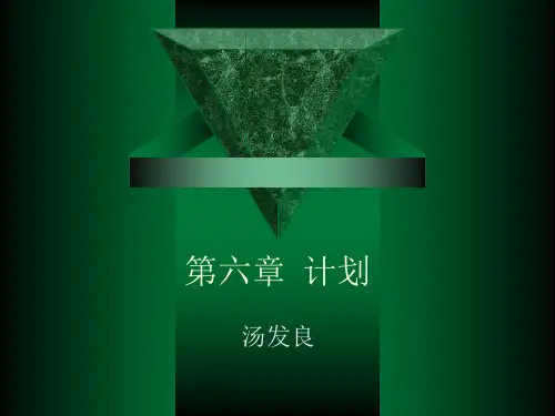 计划的含义及类型