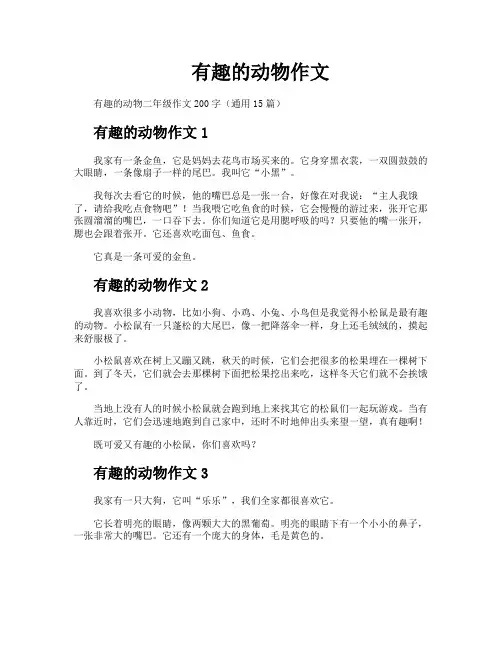 有趣的动物作文