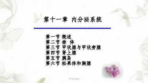 系统解剖学-内分泌系统课件
