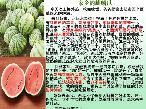 水果大荟萃-PPT课件