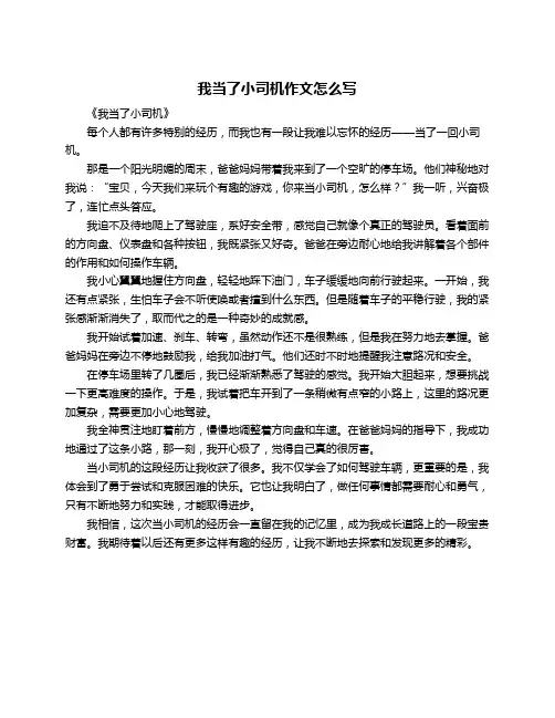 我当了小司机作文怎么写