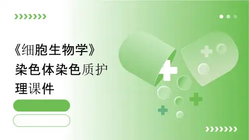 《细胞生物学》染色体染色质护理课件